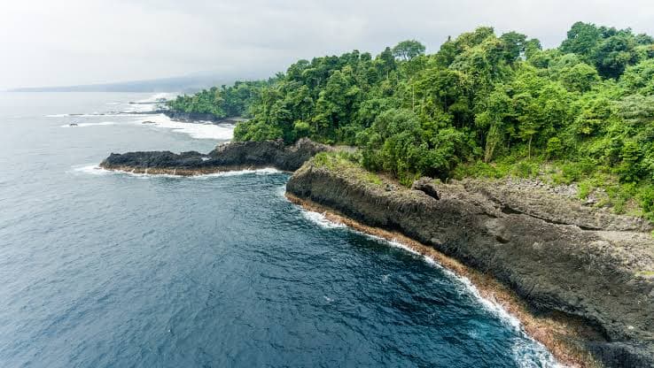 Côte de l'île de Bioko