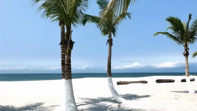 Île de Corisco